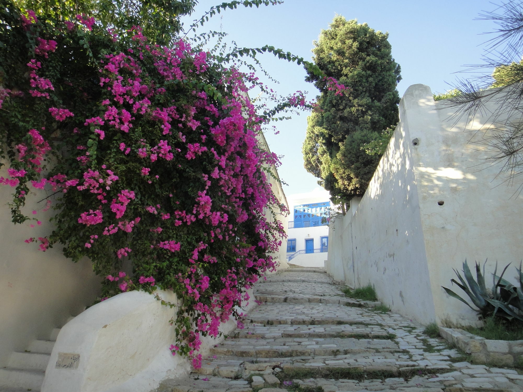 Dar El Fell (Adults Only) Bed and Breakfast Sidi Bou Ali Eksteriør billede